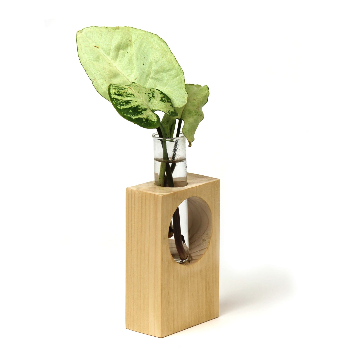 Desk wooden  Planter