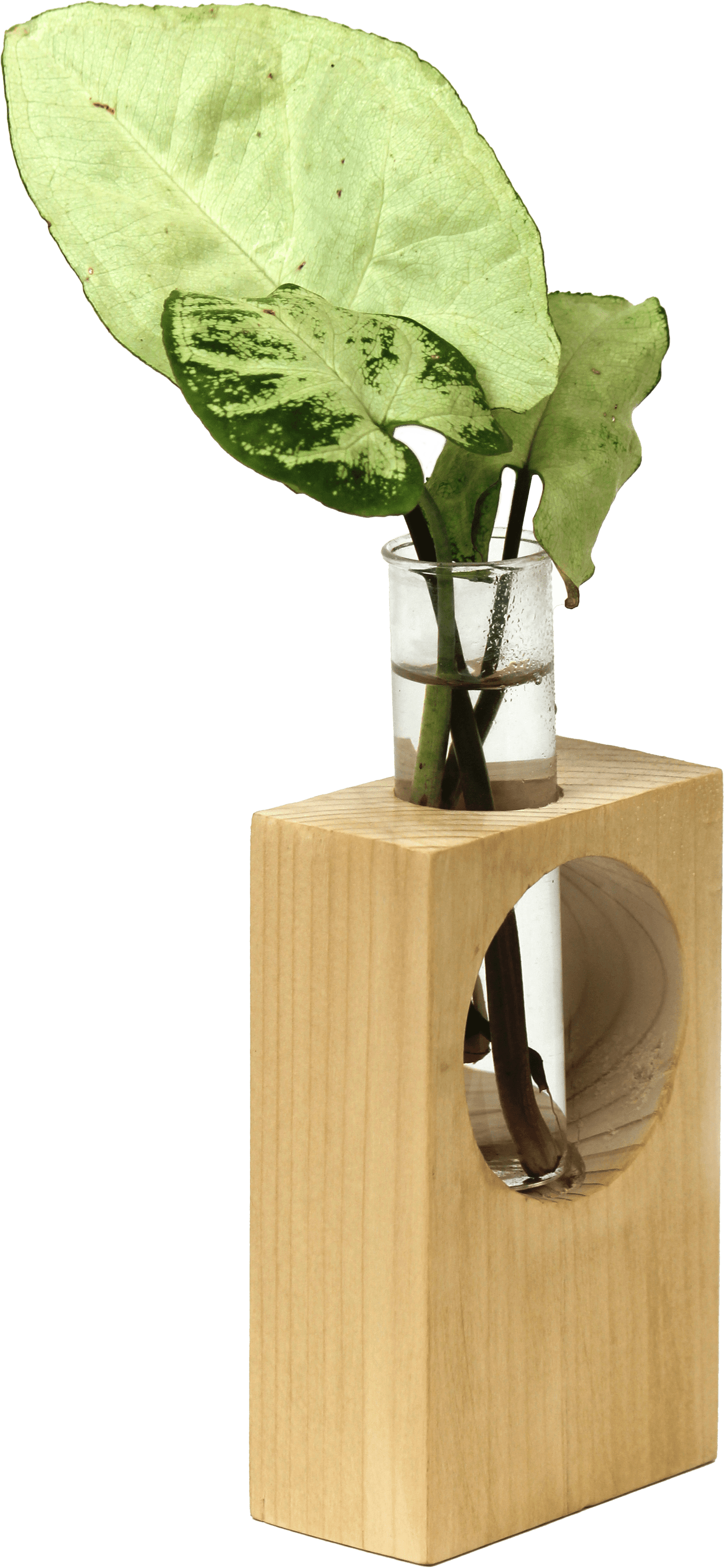 Desk wooden  Planter