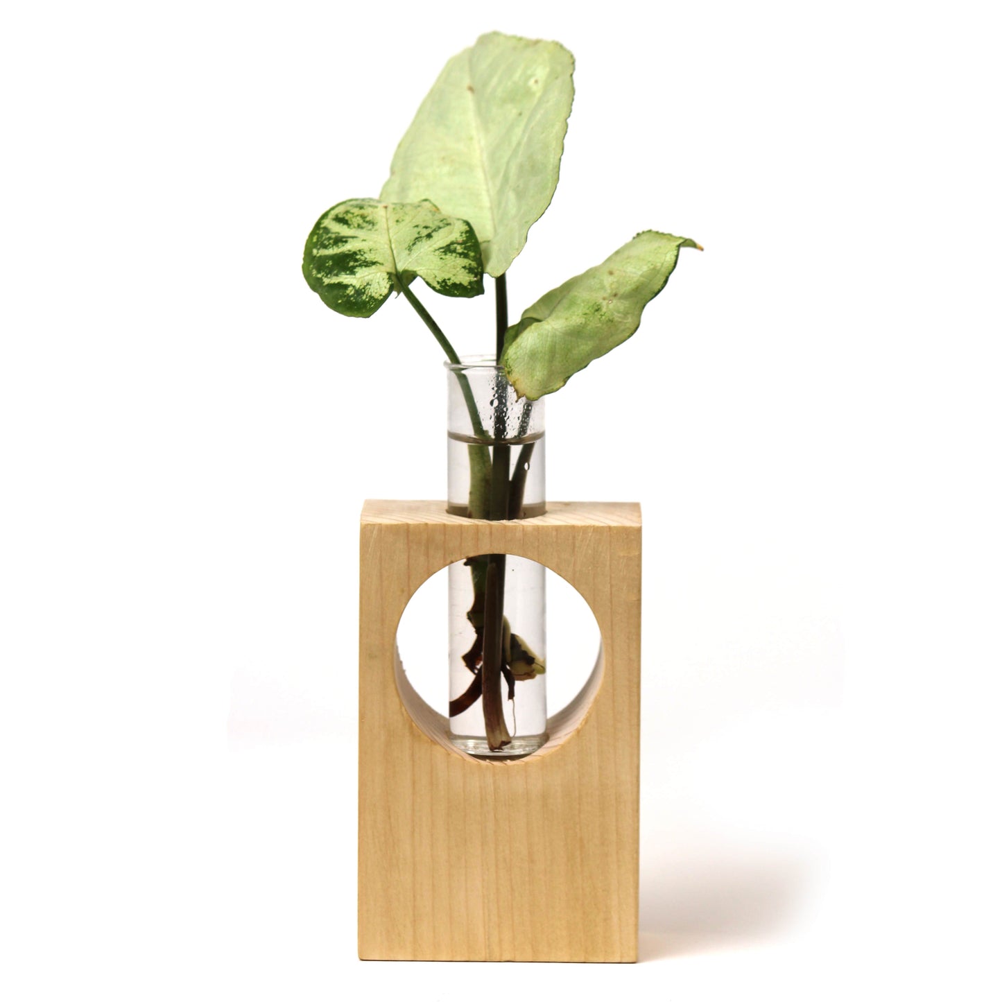 Desk wooden  Planter