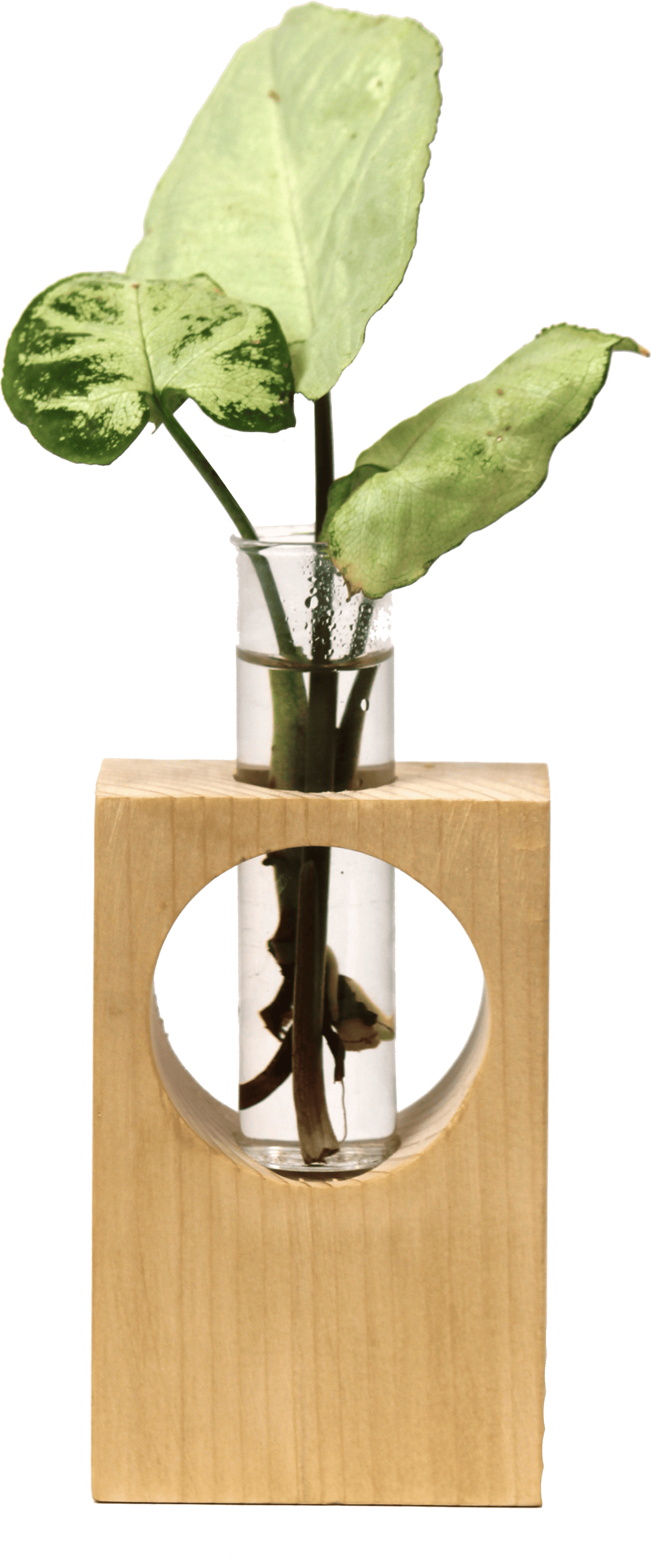 Desk wooden  Planter